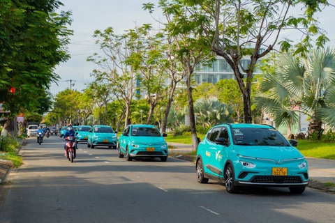 GSM triển khai chương trình 'Mùa hè Xanh vì Tương lai Xanh'- Ảnh 1. GSM triển khai chương trình “Mùa hè Xanh vì Tương lai Xanh”. Ảnh: Đ.H