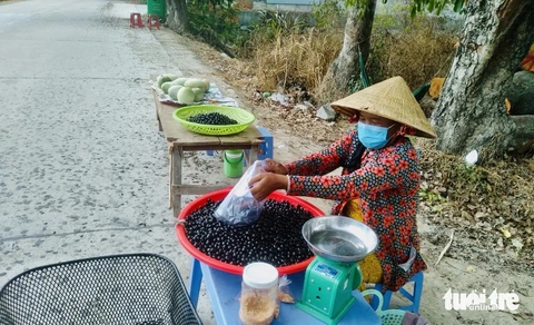 Mỗi năm có một mùa trâm chín ở vùng Bảy Núi, An Giang- Ảnh 1. Trái trâm được bày bán ven tỉnh lộ 943 đoạn qua xã Núi Tô, huyện Tri Tôn, tỉnh An Giang - Ảnh: ĐẶNG TUYẾT