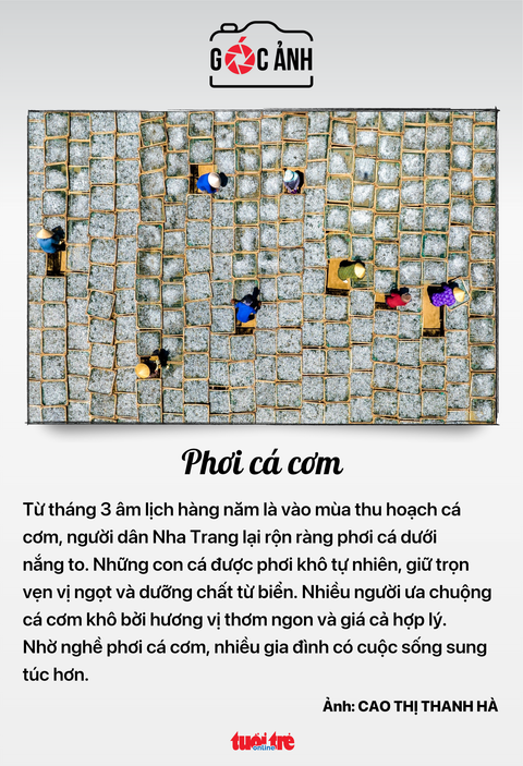 Tin tức sáng 5-5: Loạt cổ phiếu tăng 'bốc' nhất sàn; 40 điểm đón, trả khách từ Tân Sơn Nhất- Ảnh 8. Tin tức sáng 5-5: Loạt cổ phiếu tăng 'bốc' nhất sàn; 40 điểm đón, trả khách từ Tân Sơn Nhất- Ảnh 8.