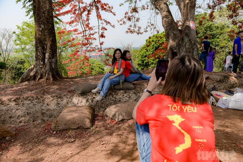 Những chiếc áo màu cờ 'Tôi yêu Việt Nam' và hoa phượng nhuộm đỏ TP Điện Biên Phủ- Ảnh 2. Các bạn trẻ với áo quốc kỳ, bản đồ Việt Nam chụp ảnh bên những tán cây phượng nở đỏ rực tại đồi A1