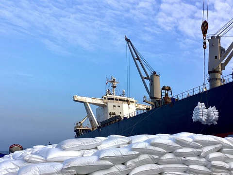 Phân bón Cà Mau luôn bám sát tình hình thị trường phân bón thế giới Phân bón Cà Mau luôn bám sát tình hình thị trường phân bón thế giới