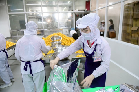 USD tăng giá, nhiều nước đau đầu- Ảnh 3. Công nhân sơ chế và đóng gói mít sấy xuất khẩu tại Công ty cổ phần Vinamit, thị xã Bến Cát, tỉnh Bình Dương - Ảnh: QUANG ĐỊNH