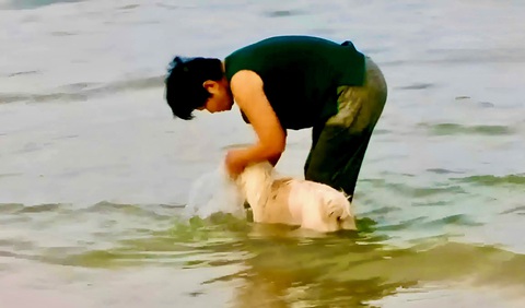 Xử lý 'nạn' chó thả rông tại Nha Trang: Nơi làm được, nơi không- Ảnh 2. Đưa chó xuống biển tắm - Ảnh: MINH CHIẾN