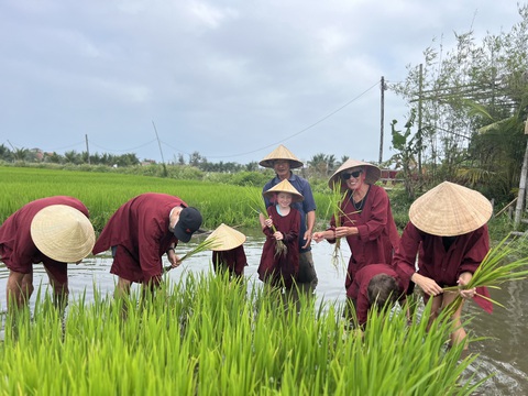 Vì sao du lịch Hội An được Tây khen hết lời trong khi 'ta' chê tả tơi?- Ảnh 3. Để được làm nông dân ở Hội An, mỗi khách phải trả tiền triệu cho mỗi lượt trải nghiệm, đa phần là khách quốc tế - Ảnh: B.D.