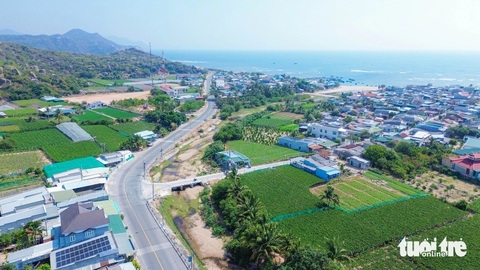 Nhờ tưới nước tiết kiệm, nho Thái An vẫn xanh mướt dưới cái nắng nung người- Ảnh 4.