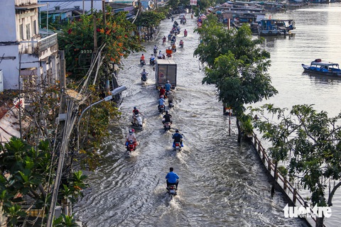 Xuất hiện đợt triều cường mới tại Đông Nam Bộ, tăng nguy cơ xâm nhập mặn- Ảnh 1. Triều cường khiến mặt đường Trần Xuân Soạn với mặt kênh Tẻ (quận 7) như hòa vào làm một - Ảnh: CHÂU TUẤN
