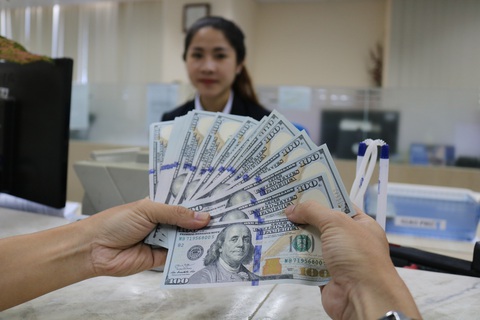 Lãi suất huy động VND đồng loạt tăng, USD sắp đạt đỉnh- Ảnh 2. USD được dự báo sẽ giảm dần từ quý 3 năm nay - Ảnh: NGỌC PHƯỢNG