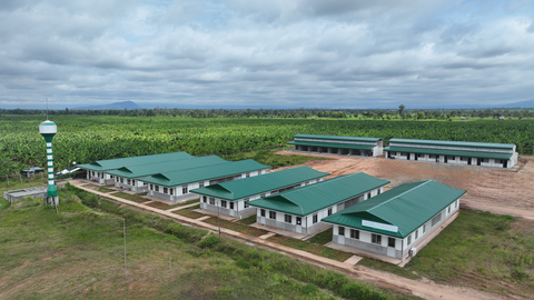 Hướng tới mô hình phát triển nông nghiệp bền vững- Ảnh 4. Các khu nhà ở được xây dựng khang trang, góp phần nâng cao đời sống cho CBCNV tại các khu liên hợp nông nghiệp