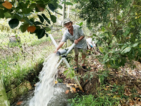 Người miền Tây tranh thủ trữ nước ngọt- Ảnh 1. Ông Nguyễn Văn Tư (Bến Tre) tranh thủ nước sông Tiền không bị nhiễm mặn để bơm vào ao trữ dùng tưới cây