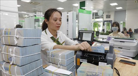 Tin tức sáng 8-5: Tàu cao tốc TP.HCM - Côn Đảo chạy từ 13-5; Lãi suất huy động dự báo tăng- Ảnh 2. Khách hàng giao dịch tại một chi nhánh ngân hàng - Ảnh: TTXVN
