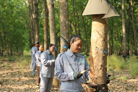 Hướng tới mô hình phát triển nông nghiệp bền vững- Ảnh 3. THACO AGRI đẩy mạnh tuyển dụng công nhân tại các địa phương thuộc Lào, Campuchia