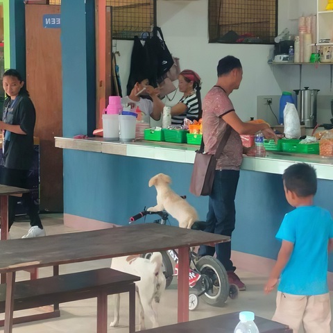 Ảnh vui 8-5: Tá hỏa với bài tập 'điền vào chỗ trống' của con- Ảnh 5. Cho anh thêm cục giò nạc nhé.