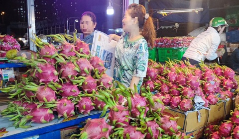 Thanh long, đậu bắp sang EU không cẩn thận sẽ bị tạm dừng- Ảnh 2. Thanh long xuất khẩu sang EU sắp bị tăng tần suất kiểm tra - Ảnh: N.TRÍ