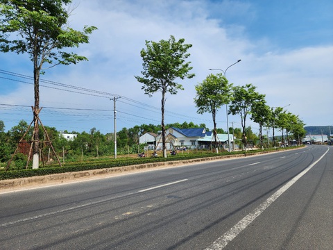 Bộ Công an yêu cầu Kiên Giang rà soát, cung cấp thông tin các dự án trồng, chăm sóc cây xanh- Ảnh 1. Công trình cây xanh trên TP Phú Quốc - Ảnh: TIẾN MINH
