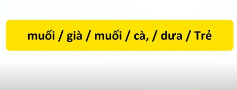 Thử tài tiếng Việt: Sắp xếp các từ sau thành câu có nghĩa (P87)- Ảnh 3. Thử tài tiếng Việt: Sắp xếp các từ sau thành câu có nghĩa (P87)- Ảnh 3.