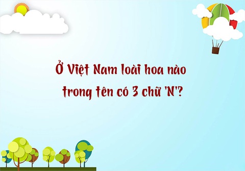 Câu đố hack não: Cái gì ở nhà bằng bắp tay, ra đường như cái nia?- Ảnh 5. Câu đố hack não: Cái gì ở nhà bằng bắp tay, ra đường như cái nia?- Ảnh 5.