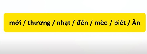 Thử tài tiếng Việt: Sắp xếp các từ sau thành câu có nghĩa (P89)- Ảnh 3. Thử tài tiếng Việt: Sắp xếp các từ sau thành câu có nghĩa (P89)- Ảnh 3.