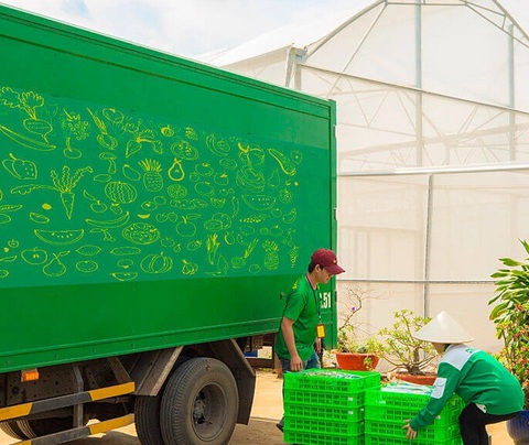 Thế Giới Di Động giải thể 2 công ty con mang 'ước mơ' rau sạch và vận chuyển bài bản- Ảnh 1. Công ty cổ phần đầu tư Thế Giới Di Động từng nuôi ước mơ trồng rau sạch và phân phối tại chuỗi Bách Hóa Xanh - Ảnh: 4KFarm