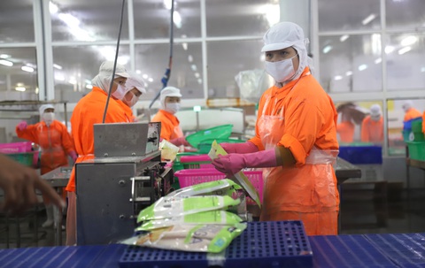 ĐBSCL cần phát huy thế mạnh kinh tế nông nghiệp, kinh tế biển - ẢNH: C.QUỐC ĐBSCL cần phát huy thế mạnh kinh tế nông nghiệp, kinh tế biển - ẢNH: C.QUỐC