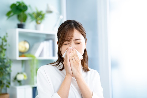 Cách kiểm soát các triệu chứng viêm mũi dị ứng hiệu quả- Ảnh 1. Cách kiểm soát các triệu chứng viêm mũi dị ứng hiệu quả- Ảnh 1.