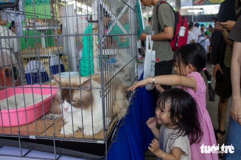Xem chó, mèo, kỳ nhông, kiến, rắn đọ... sắc ở Lễ hội Cá cảnh Thú cưng- Ảnh 12. Các bạn nhỏ hào hứng khi được tiếp xúc với các chú chó, mèo, kỳ nhông tại lễ hội - Ảnh: TÔ CƯỜNG