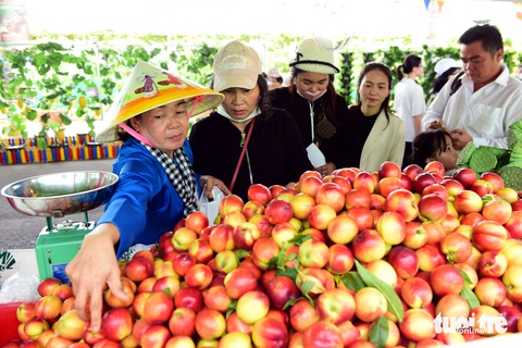 Hoa thơm trái ngọt ngập tràn Lễ hội Trái cây Nam Bộ 2024- Ảnh 8. Đào Sa Pa hấp dẫn người tham quan