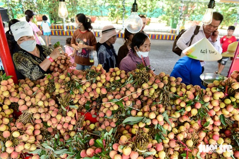 Hoa thơm trái ngọt ngập tràn Lễ hội Trái cây Nam Bộ 2024- Ảnh 9. Hầu như ai đến tham gia lễ hội cũng mua những loại trái cây khác nhau mang về làm quà