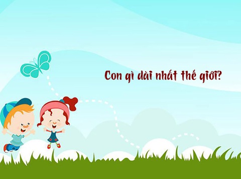 Câu đố hack não: Con gì dài nhất thế giới?- Ảnh 1. Câu đố hack não: Con gì dài nhất thế giới?- Ảnh 1.