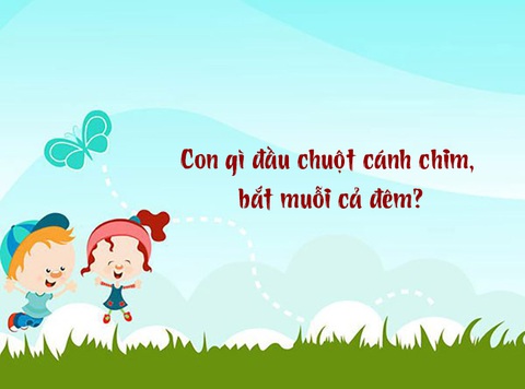 Con gì đầu chuột, cánh chim, bắt muỗi cả đêm?- Ảnh 1. Con gì đầu chuột, cánh chim, bắt muỗi cả đêm?- Ảnh 1.