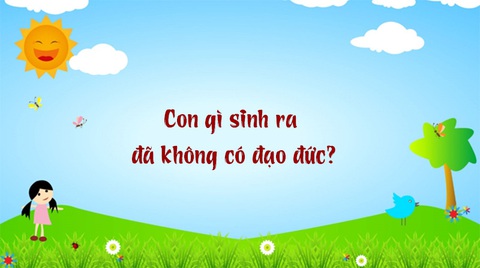 Con gì đầu chuột, cánh chim, bắt muỗi cả đêm?- Ảnh 5. Con gì đầu chuột, cánh chim, bắt muỗi cả đêm?- Ảnh 5.