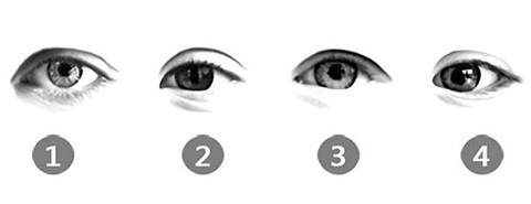 Quiz: Đôi mắt tiết lộ chỉ số thông minh, sắc sảo của bạn?- Ảnh 1. Quiz: Đôi mắt tiết lộ chỉ số thông minh, sắc sảo của bạn?- Ảnh 1.