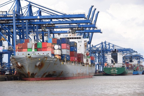 Cục Hàng hải vào cuộc giám sát khi cước tàu biển tăng vọt- Ảnh 1. Cước tàu biển đang tăng mạnh, cơ quan chức năng vào cuộc giám sát - Ảnh: QUANG ĐỊNH