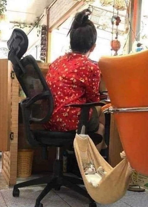 Ảnh vui 12-6: 'Kem chay' dành cho những ai hở tí là sợ mập- Ảnh 6. Những giây phút nghỉ ngơi.