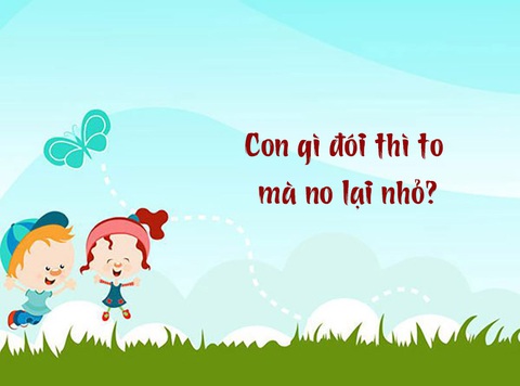 Con gì đói thì to mà no lại nhỏ?- Ảnh 1. Con gì đói thì to mà no lại nhỏ?- Ảnh 1.