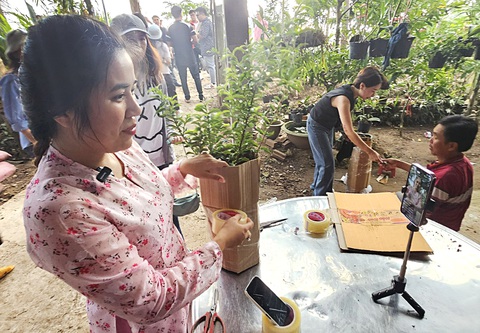 Không chỉ doanh nghiệp, nhiều nông dân cũng tập livestream. Trong ảnh: Một nhà vườn ở Bến Tre livestream bán cây giống qua kênh Tiktok Shop - Ảnh: NGUYỄN TRÍ Không chỉ doanh nghiệp, nhiều nông dân cũng tập livestream. Trong ảnh: Một nhà vườn ở Bến Tre livestream bán cây giống qua kênh Tiktok Shop - Ảnh: NGUYỄN TRÍ