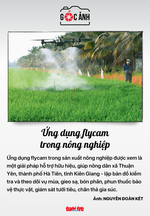 Tin tức sáng 14-6: Thú vị hình ảnh hai bé sơ sinh chào đời với vòng tránh thai trong tay- Ảnh 11. Ứng dụng flycam trong nông nghiệp - Ảnh: NGUYỄN ĐOÀN KẾT