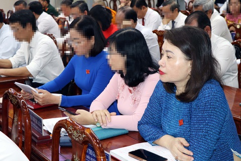 Chủ tịch huyện Nhơn Trạch bị lừa hơn 171 tỉ 'kê khai tài sản không trung thực'- Ảnh 1. Chủ tịch UBND huyện Nhơn Trạch (Đồng Nai) Nguyễn Thị Giang Hương bị đề nghị kỷ luật do kê khai tài sản không trung thực - Ảnh: A LỘC