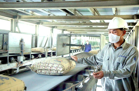 Chính phủ vào cuộc gỡ khó cho sản xuất xi măng, sắt thép- Ảnh 1. Nhiều doanh nghiệp sản xuất xi măng đang gặp khó khi tiêu thị xi măng trong nước giảm sâu - Ảnh: Đ.M.
