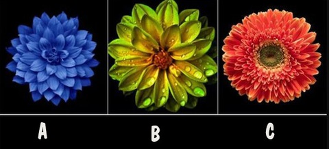 Quiz: Bạn là ai ở kiếp trước?- Ảnh 1.
