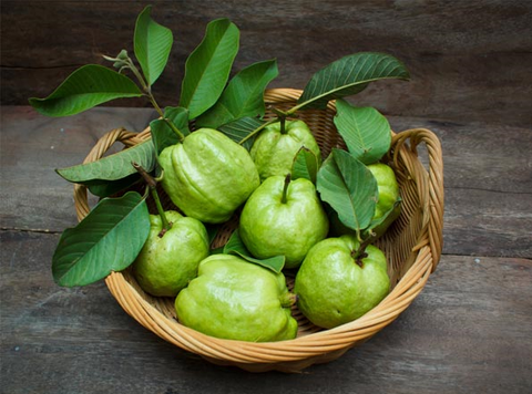 Ổi rất giàu dinh dưỡng, nhưng phải biết ăn đúng cách- Ảnh 2. Ổi là loại trái cây nhiệt đới phổ biến - Ảnh: Boldsky