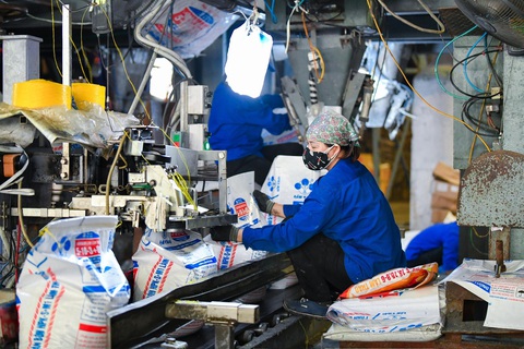 Đề xuất áp thuế VAT 5% có làm tăng giá phân bón?- Ảnh 1. Sản phẩm phân bón hiện nay đang thuộc diện không chịu thuế giá trị gia tăng nên doanh nghiệp sản xuất không được khấu trừ thuế, làm tăng giá thành sản phẩm - Ảnh: NAM TRẦN