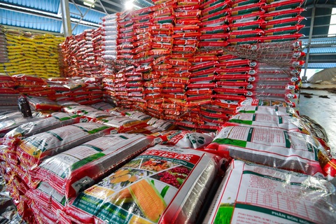 Đề xuất áp thuế VAT 5% có làm tăng giá phân bón?- Ảnh 5. Các doanh nghiệp mong muốn sớm sửa đổi việc áp thuế giá trị gia tăng với mặt hàng phân bón để cạnh tranh với hàng nhập khẩu - Ảnh: NAM TRẦN