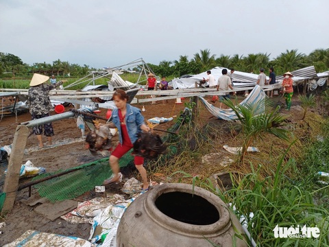 Dông lốc, mưa đá quét ban trưa ở Tiền Giang, thiệt hại tiền tỉ- Ảnh 5. Trang trại nuôi gà bị lốc xoáy đánh sập - Ảnh: H.T.