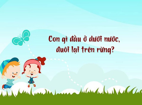 Con gì đầu ở dưới nước, đuôi lại trên rừng?- Ảnh 1. Con gì đầu ở dưới nước, đuôi lại trên rừng?- Ảnh 1.