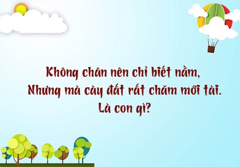 Con gì đầu ở dưới nước, đuôi lại trên rừng?- Ảnh 5. Con gì đầu ở dưới nước, đuôi lại trên rừng?- Ảnh 5.
