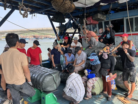 Làng ngư dân tỉ phú, một chuyến biển thu về hơn 250 tỉ đồng- Ảnh 3. Ngư dân bán mực cho thương lái - Ảnh: T.M.