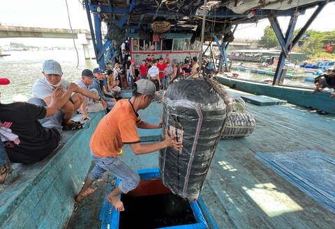 Làng ngư dân tỉ phú, một chuyến biển thu về hơn 250 tỉ đồng- Ảnh 4. Phiên biển đầu năm trúng lớn, tàu nào về bờ cũng đầy khoang - Ảnh: T.M.