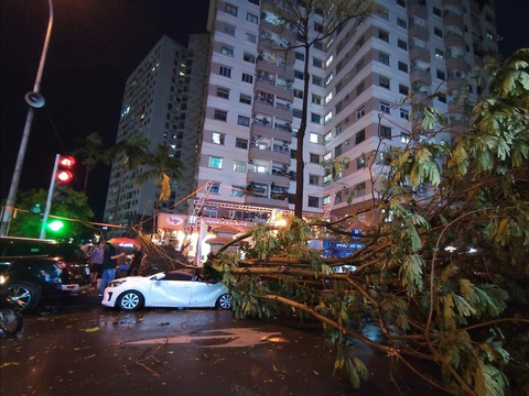Mưa kèm gió lớn khiến cây đổ đè lên nhiều ô tô ở Hà Nội- Ảnh 4. Cây đổ đè lên ô tô ở Linh Đàm, Hoàng Mai - Ảnh: PHÚ ANH
