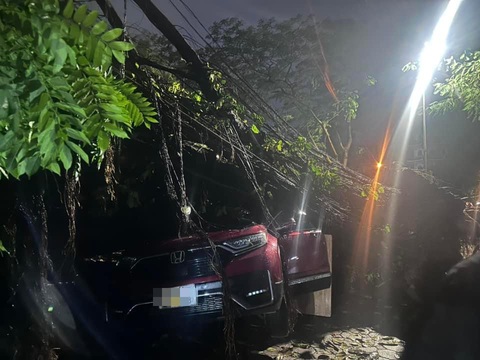 Mưa kèm gió lớn khiến cây đổ đè lên nhiều ô tô ở Hà Nội- Ảnh 2. Cây si lớn đổ đè lên một chiếc xe ô tô đỗ trên vỉa hè phố Kim Giang, Thanh Trì, Hà Nội - Ảnh: N.DŨNG