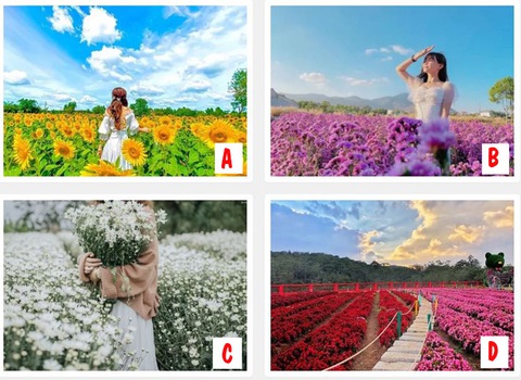 Quiz: Bạn sẽ trở thành người mẹ như thế nào?- Ảnh 1. Quiz: Bạn sẽ trở thành người mẹ như thế nào?- Ảnh 1.